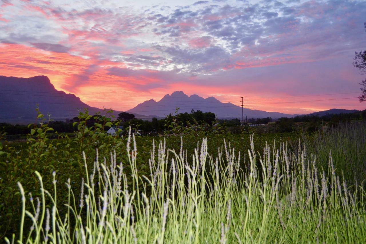 Heuwelsig Cottages Franschhoek Εξωτερικό φωτογραφία