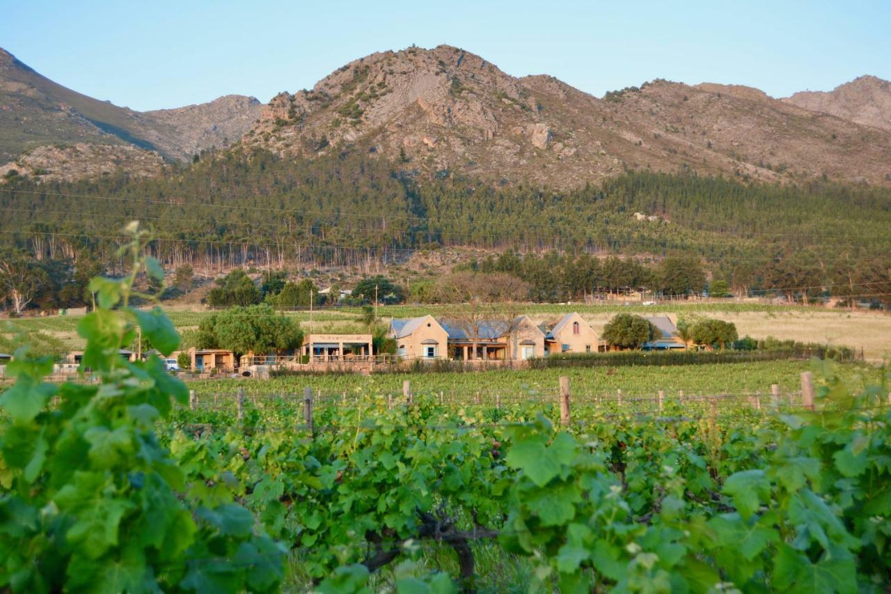 Heuwelsig Cottages Franschhoek Εξωτερικό φωτογραφία